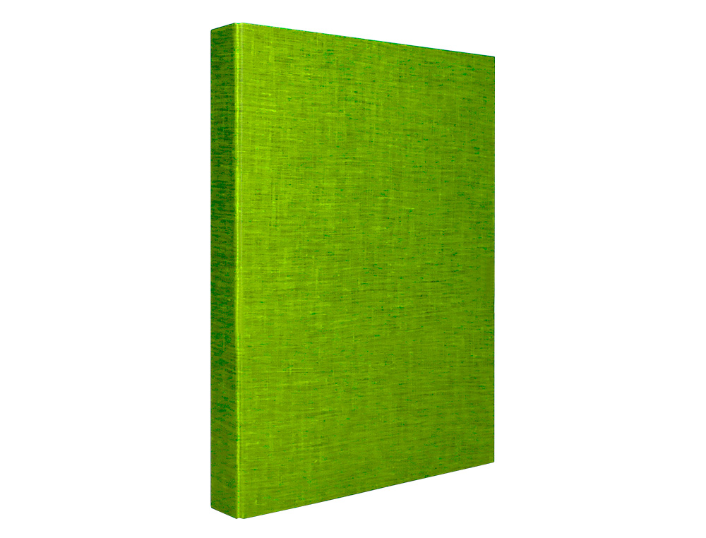 CARPETA DE 4 ANILLAS 25MM MIXTAS LIDERPAPEL FOLIO CARTONFORRADO PAPER COAT VERDE FROSTY